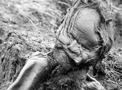 Photograph of the discovery of Grauballe Man in 1952