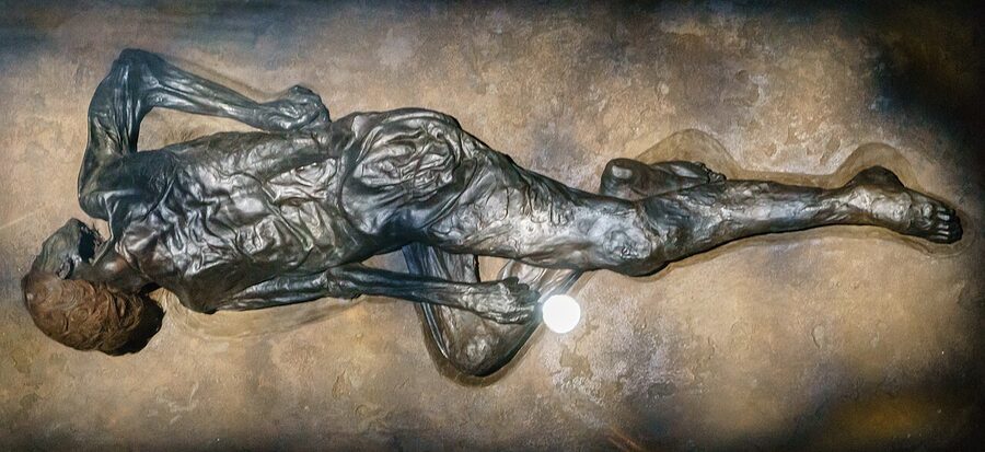 The Iron Age Grauballe Man bog body on display at the Moesgaard Museum