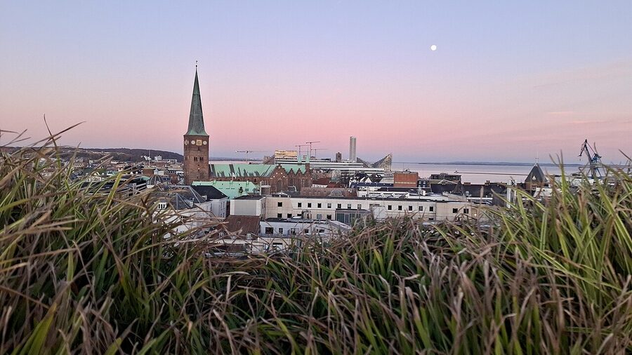 View of Aarhus Domkirke spire from the free Salling rooftop