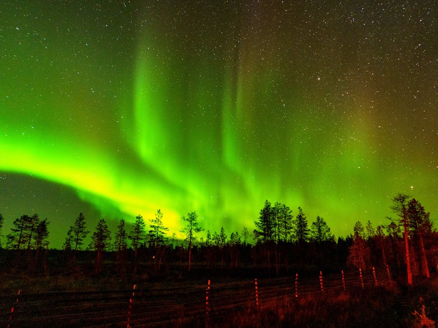Aurora over snow-laden trees in Yllasjarvi, Finnish Lapland