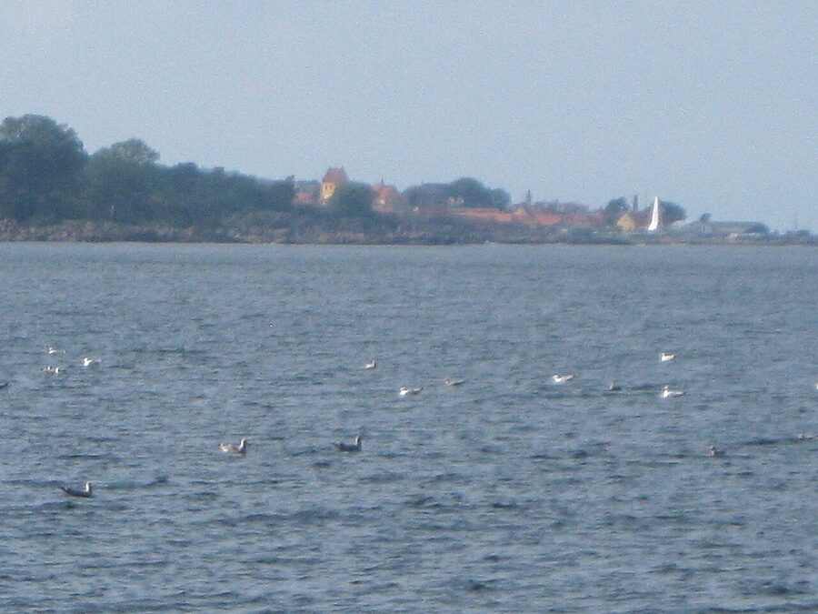 Allinge village on the north coast of Bornholm