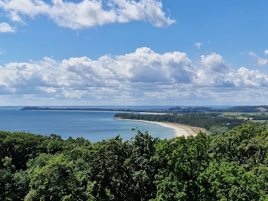 A Baltic-coast view of low cliffs in summer