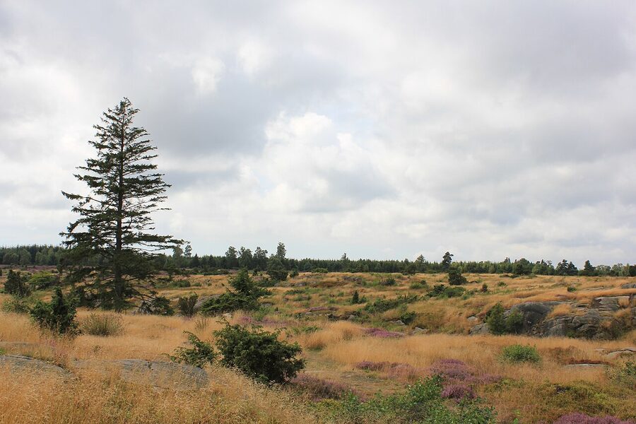 Paradisbakkerne hills and granite outcrops, Bornholm