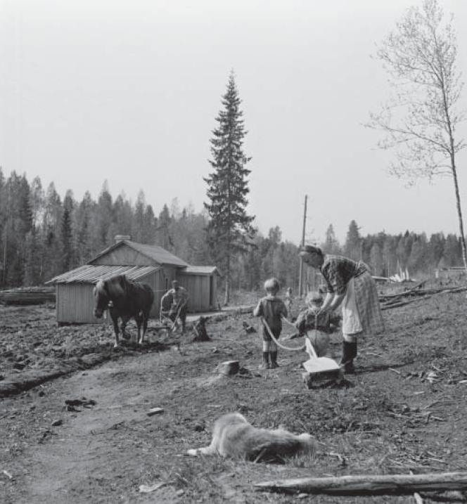 Karelian evacuees clearing land for resettlement after the war