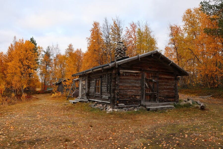 A wooden cabin in Finnish Lapland surrounded by autumn forest