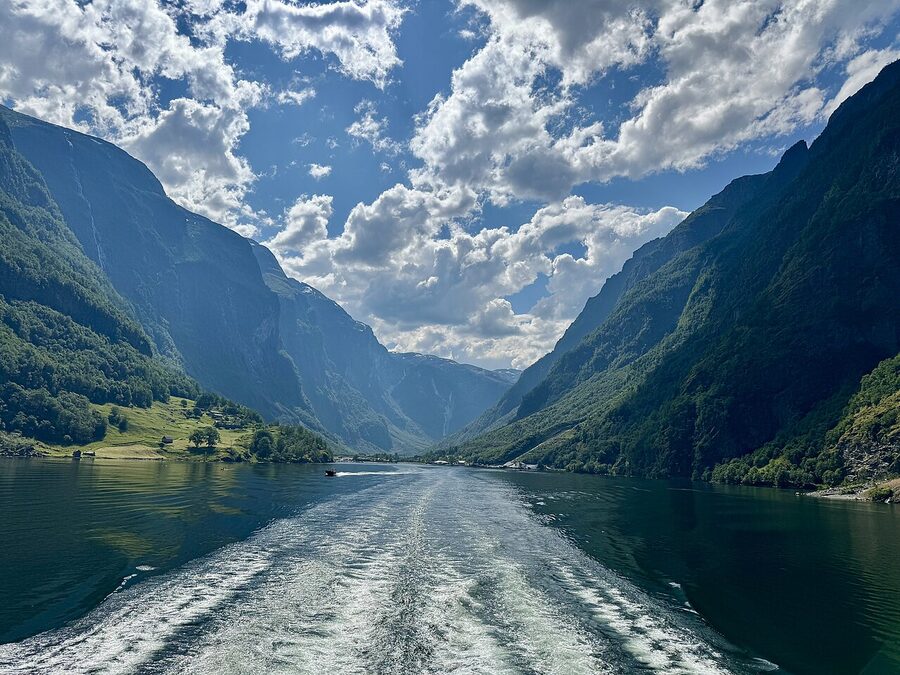 View of the Nærøyfjord from a fjord cruise
