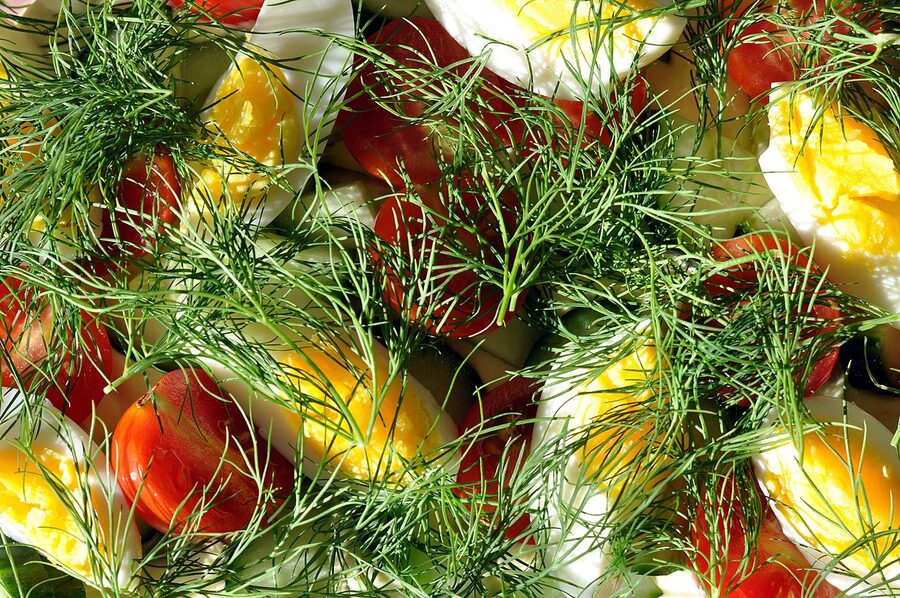 Pickled herring (glade sild) on a Danish lunch table