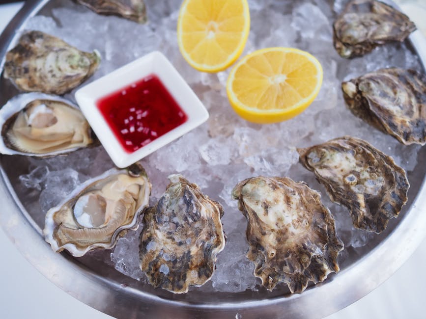 West coast oysters on ice