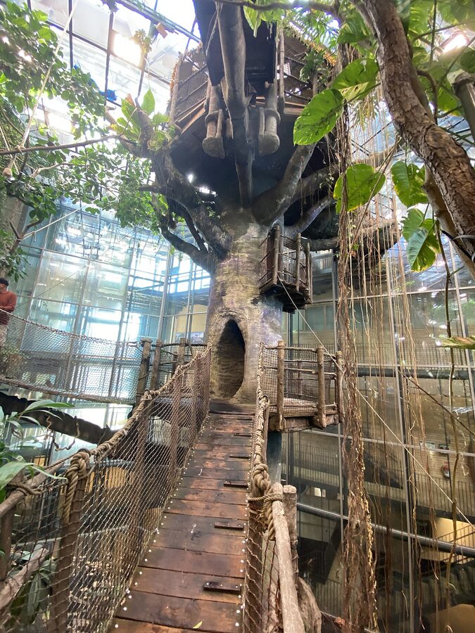 Indoor rainforest at Universeum Gothenburg