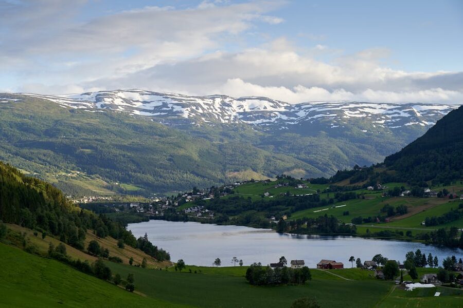 Hallingdal valley landscape with farms and forest