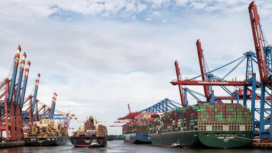 Container ships docked at the Hamburg Port terminal