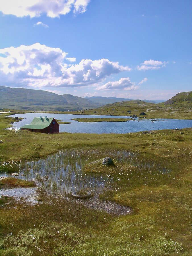 Hardangervidda plateau in Norway, treeless tundra and small lakes