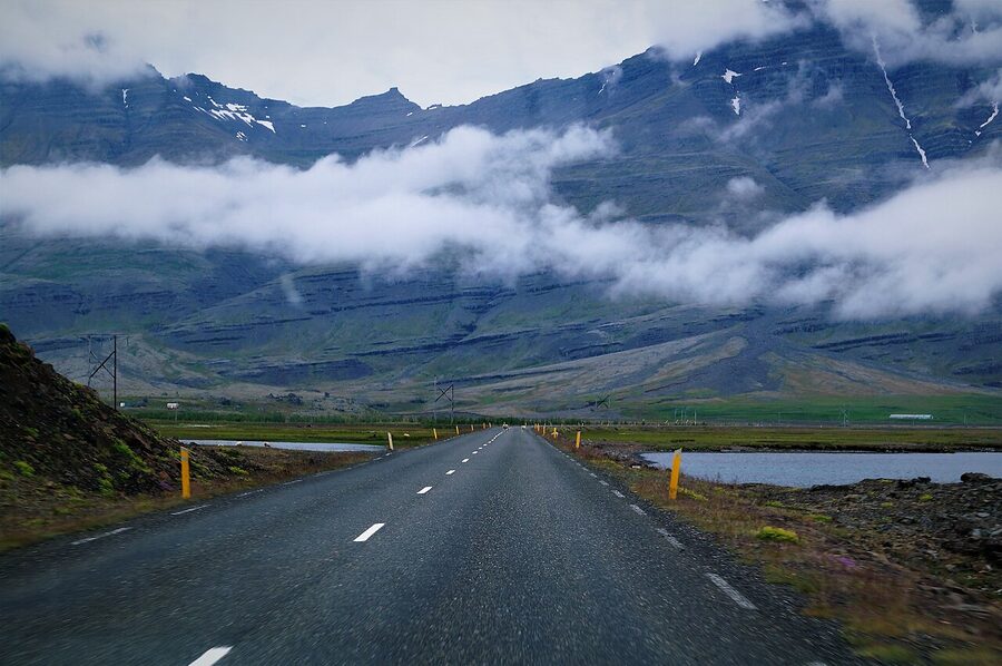 A sheep on a single-lane road in eastern Iceland