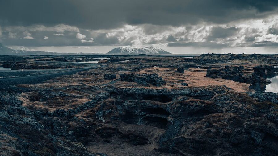 A volcanic lava field in Iceland
