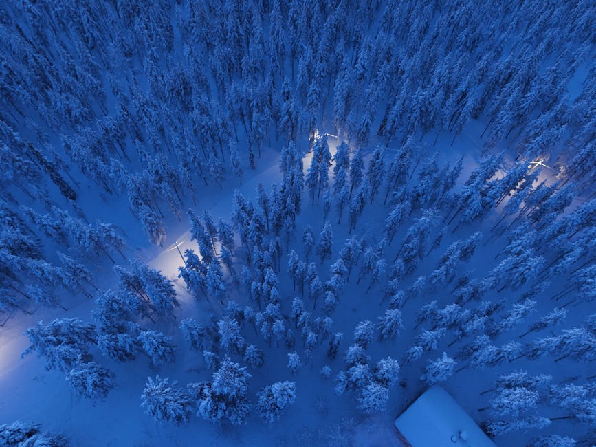Aerial view of snowy Lapland forest at twilight near Kakslauttanen