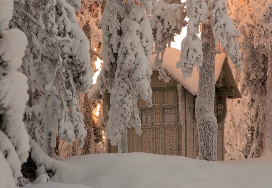 Wooden cabin in a snowy Lapland forest