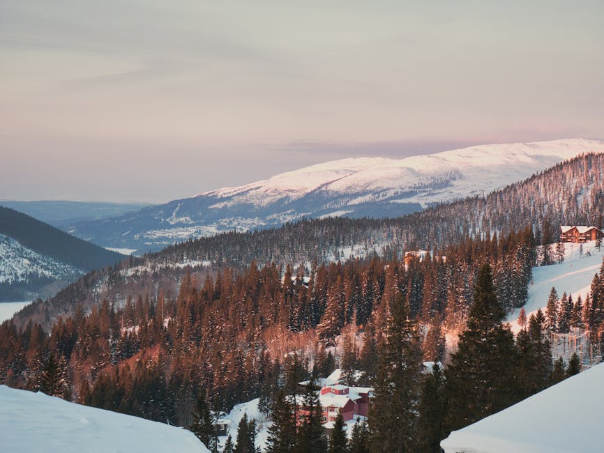 A snow-covered winter forest panorama in northern Sweden