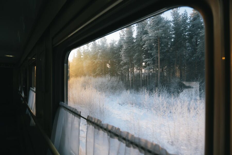 Snowy trees seen through a train window