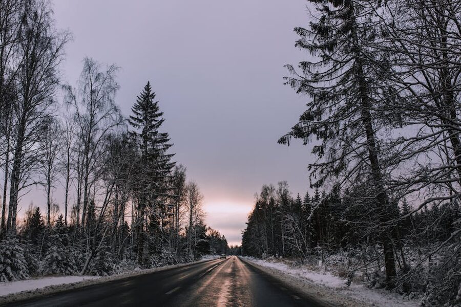 A frosty road flanked by snowy trees at dawn in Sweden