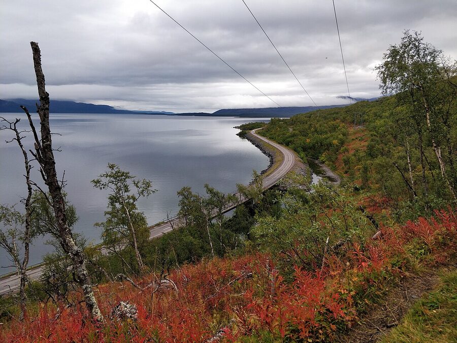 The old workers' road near Björkliden in summer