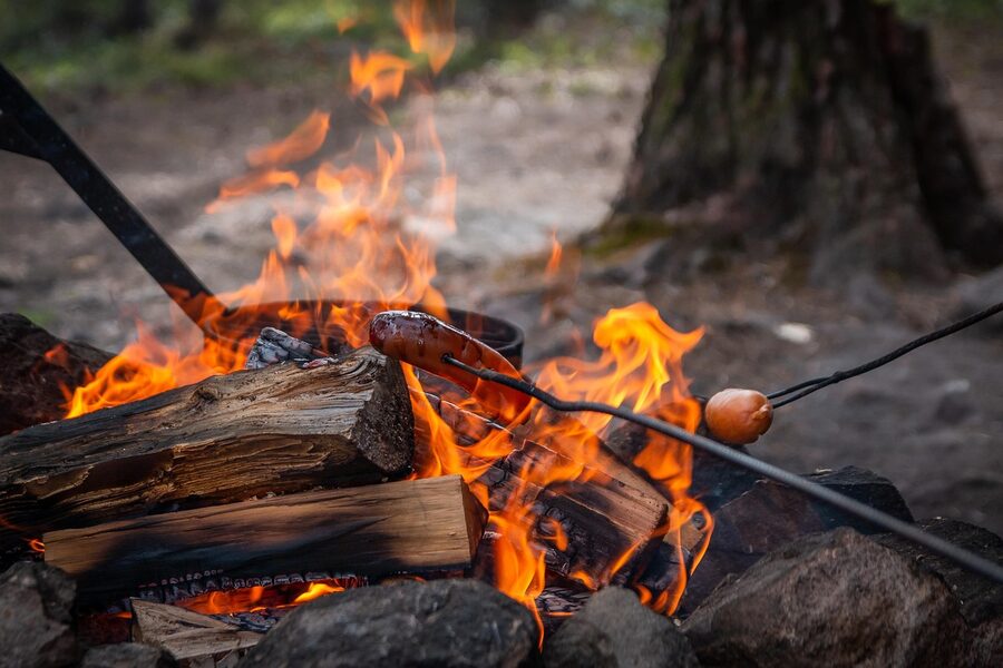 Campfire in a Lapland forest