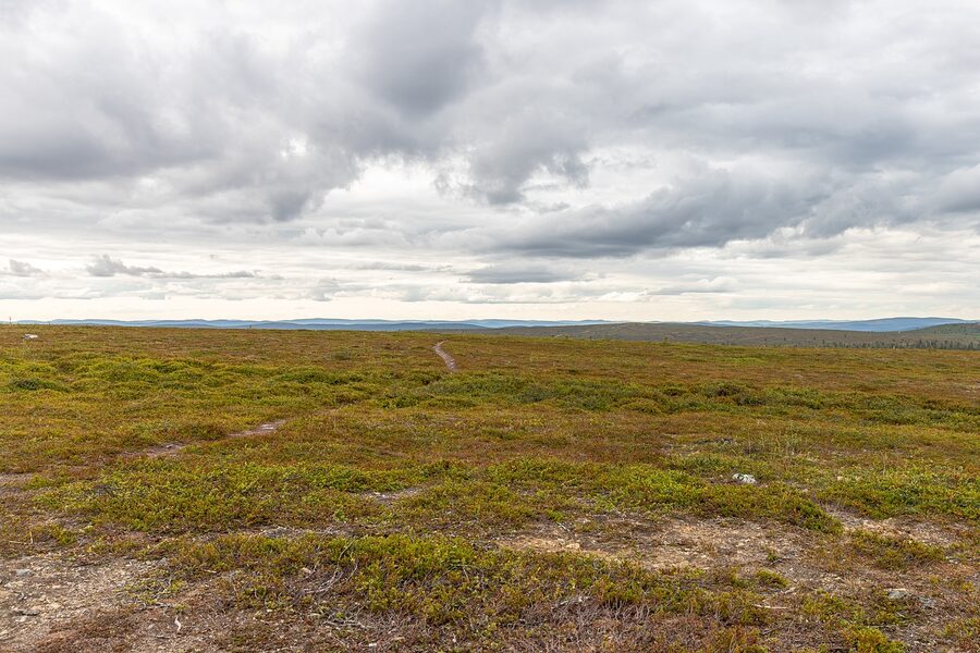 Hiker on a Lapland fell in summer with low light