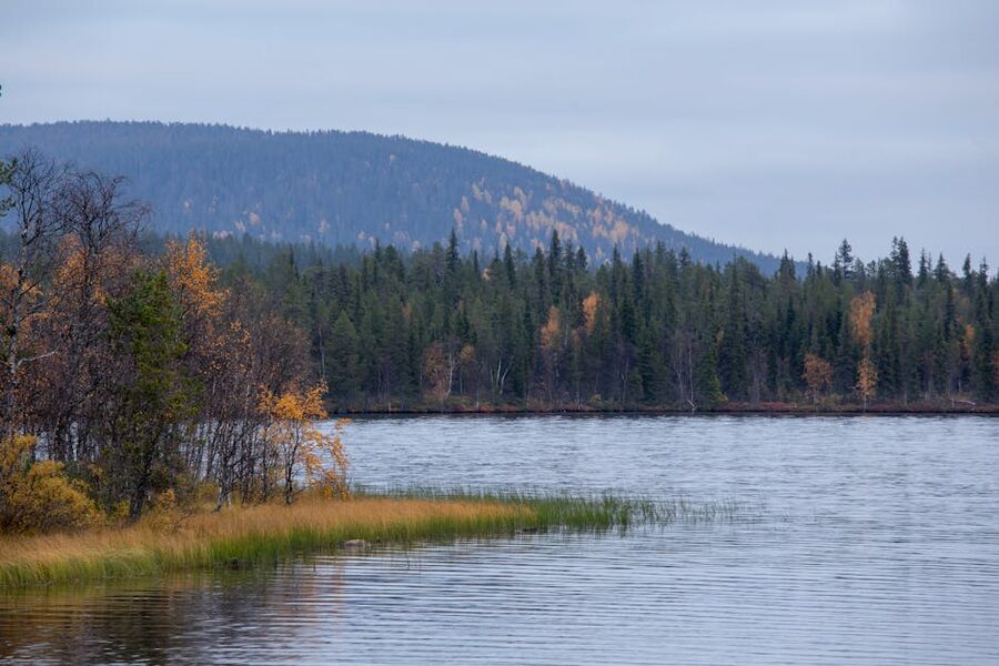 Tranquil autumn lake in Finnish Lappi forest