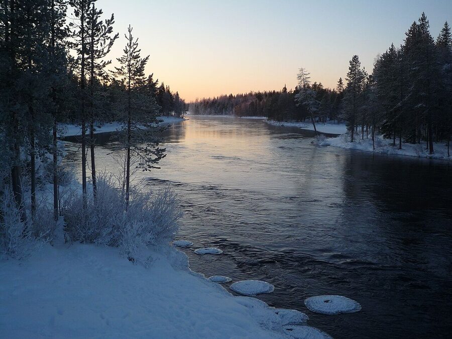 Kitkajoki river in a calmer section in summer