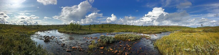 Stream in Lemmenjoki National Park summer