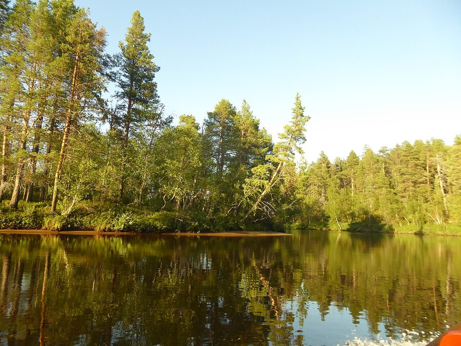 Lemmenjoki National Park summer landscape