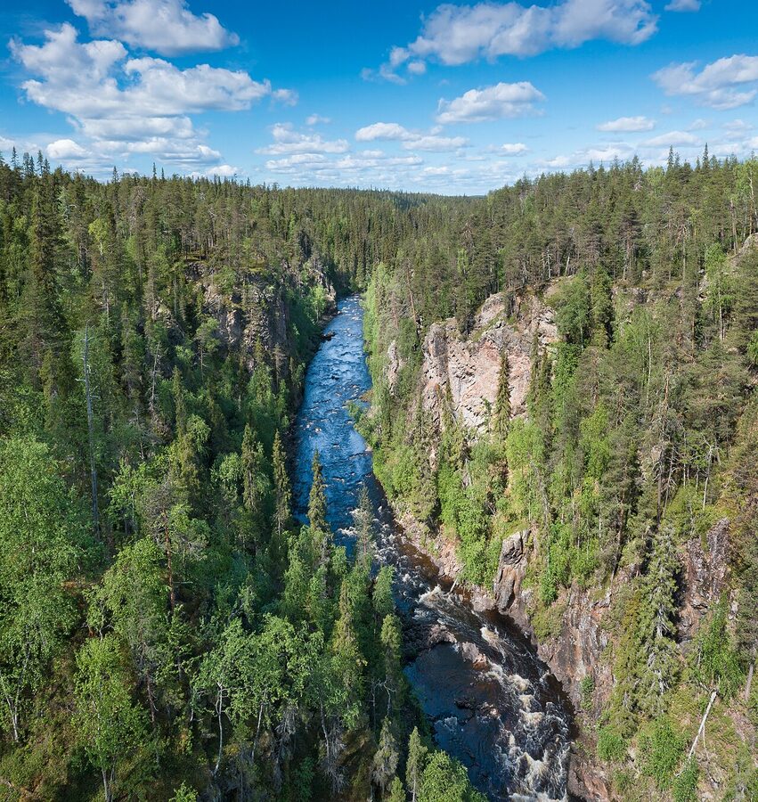 Oulanka canyon in June with summer foliage