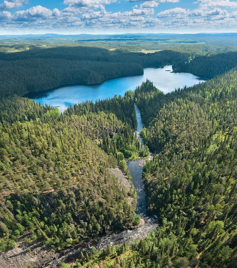 Oulankajoki river and Savilampi pond in Oulanka National Park, June