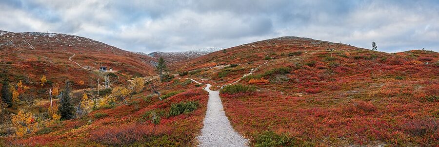 Path to Pallastunturi in autumn colour, Muonio, Lapland