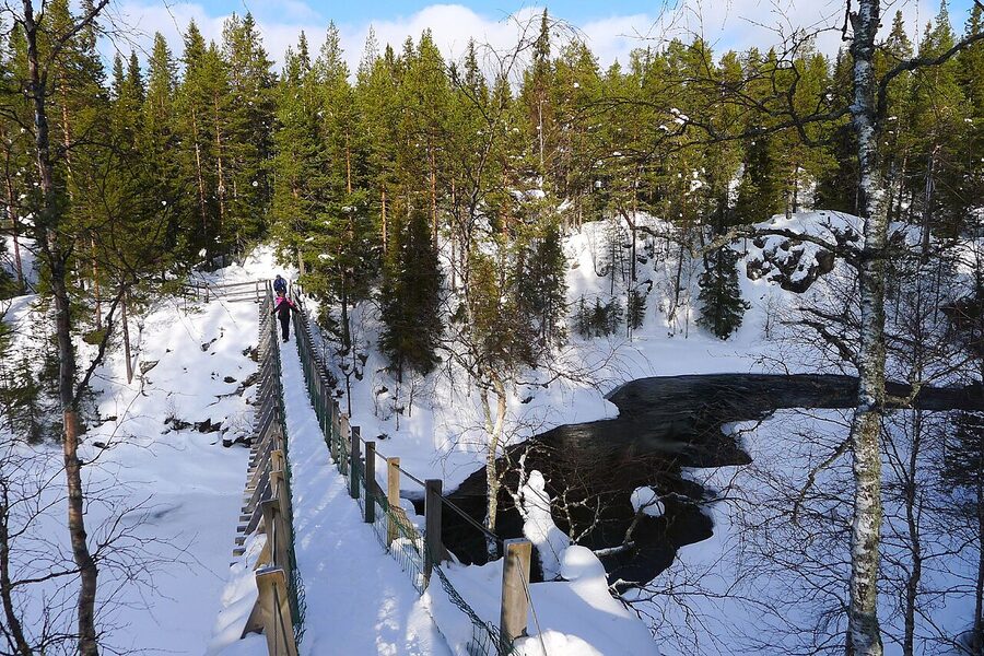 River and forest along the Pieni Karhunkierros loop