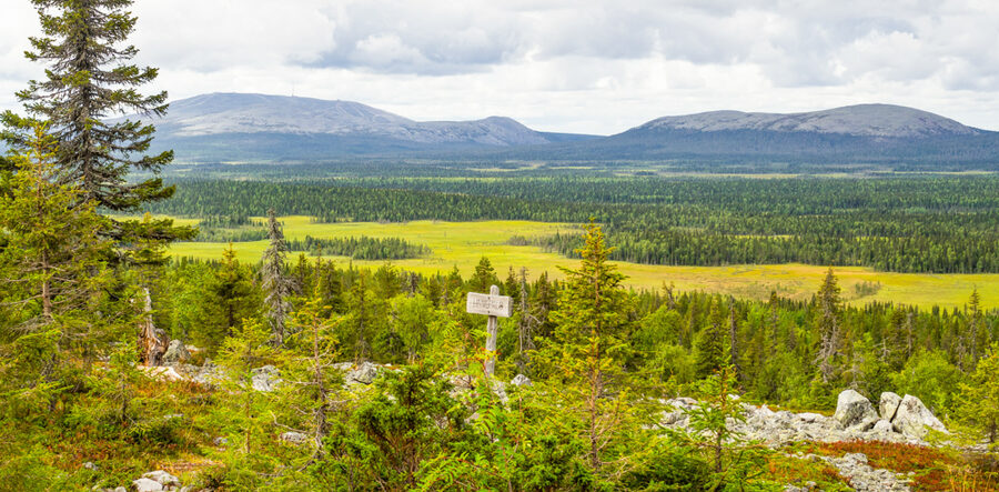 Yllästunturi and Kesänkitunturi fells from Pallas-Yllästunturi park