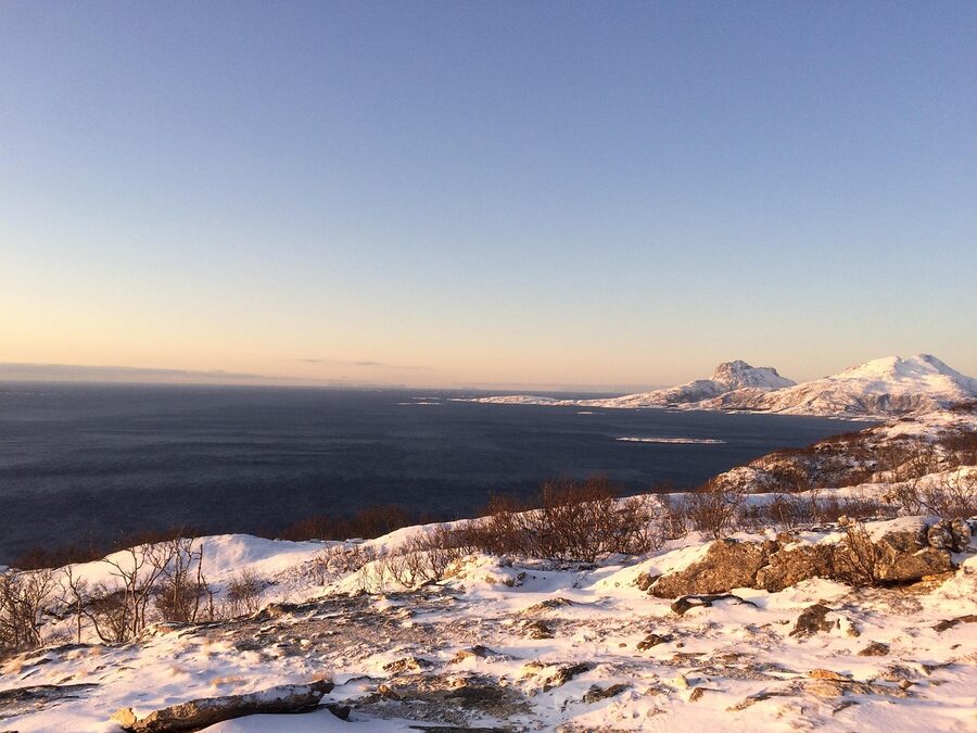 Bodø harbour in winter