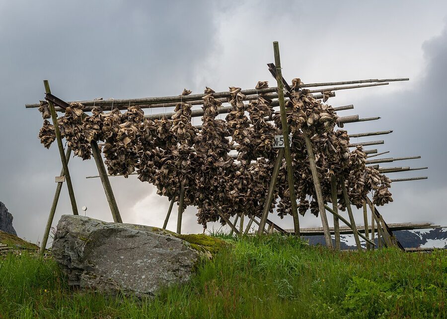 Wooden fish drying racks on the Lofoten coast