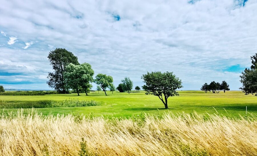 Skåne countryside near Trelleborg, with green fields and dramatic cloudy sky