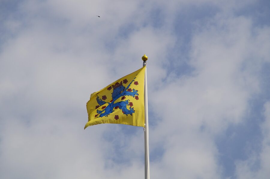 Yellow and blue Swedish flag and Ystad coat of arms with heraldic lion