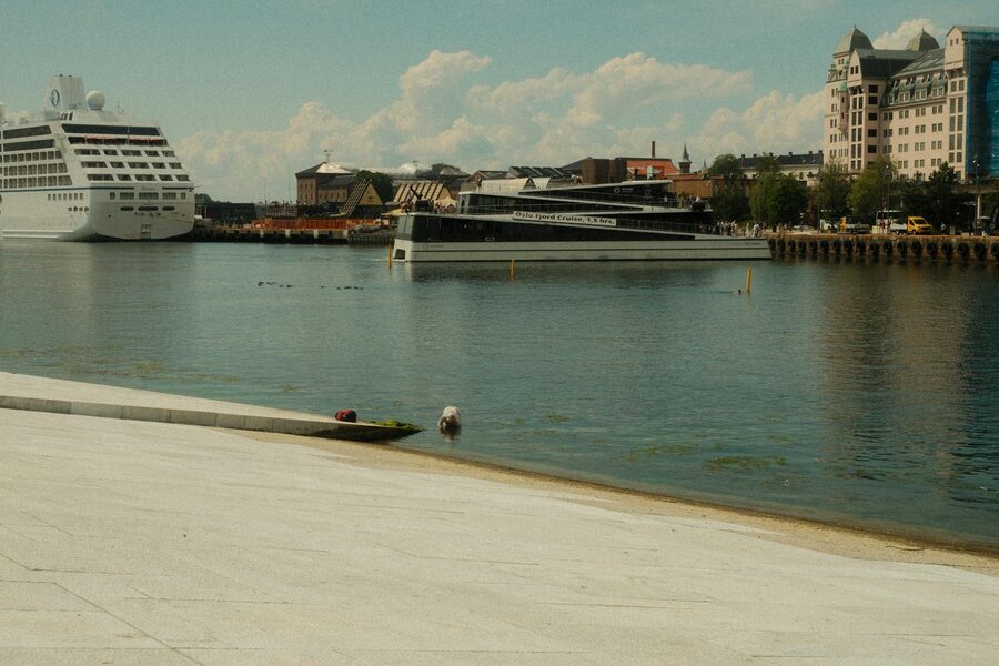 Cruise ships docked at Oslo Harbor on a sunny day