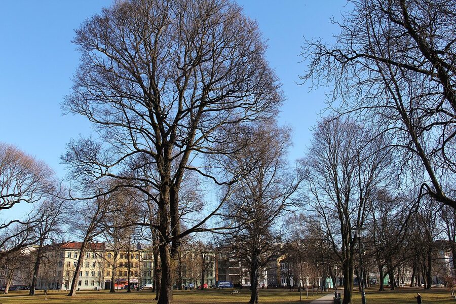 Grunerlokka neighbourhood in winter, Oslo