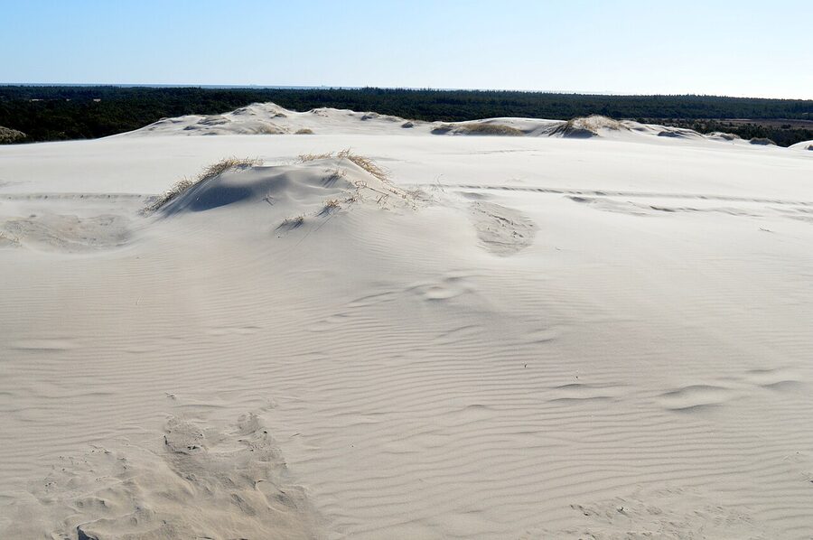 The migrating dune of Råbjerg Mile rising above the flat North Jutland landscape