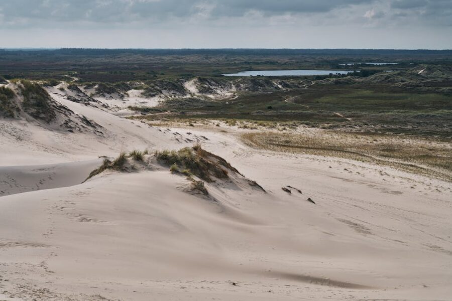 Sand dunes at Råbjerg Mile under a cloudy Danish sky