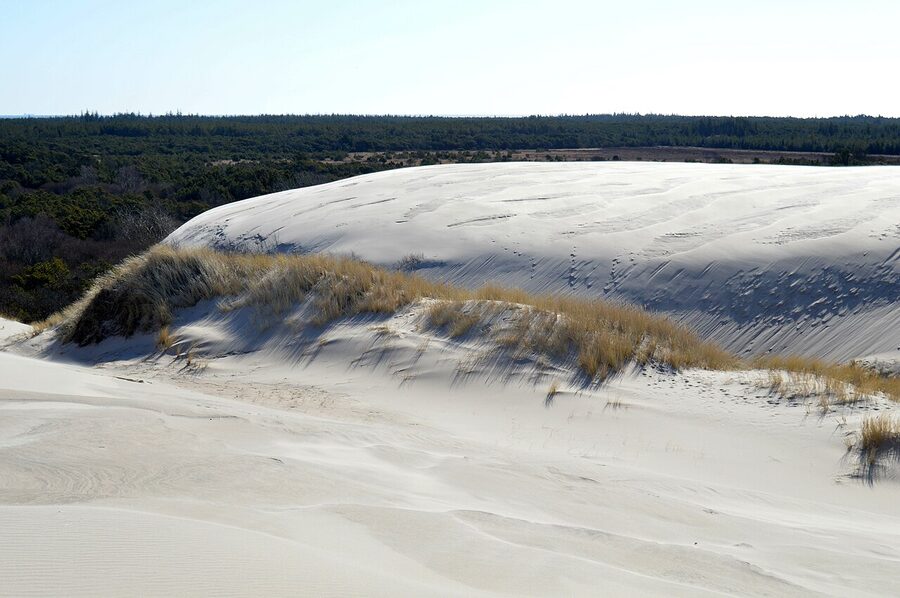 Visitors crossing the sand dune of Råbjerg Mile