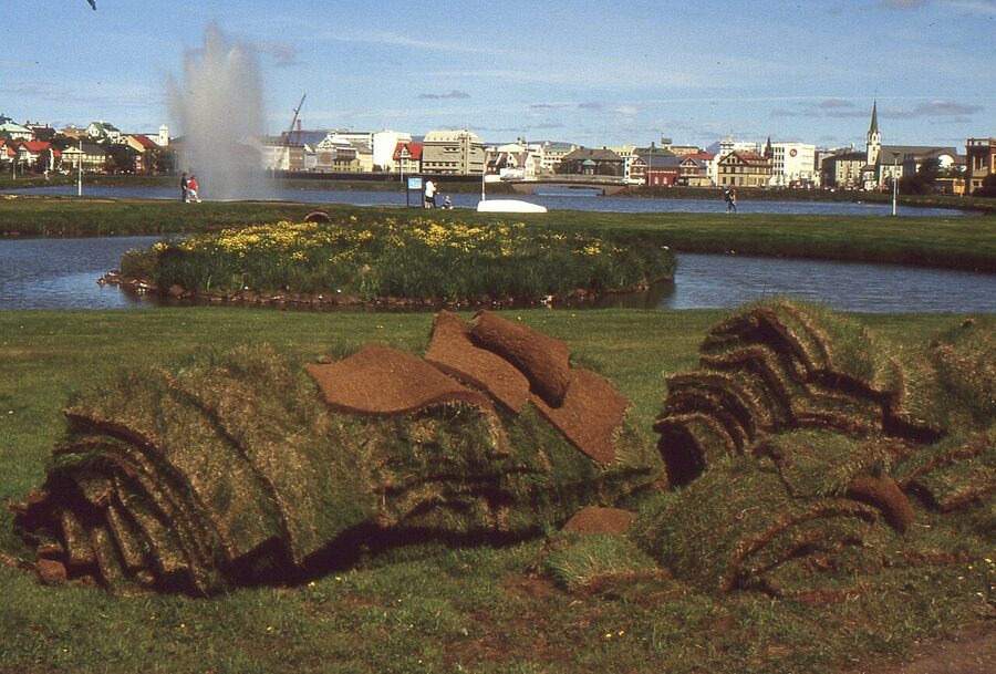 Tjornin pond with turf in 1988