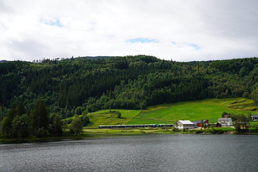 Train running through the Norwegian countryside between Oslo and Bergen