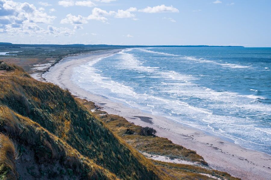 Skagen coastal landscape with sandy dunes and the North Sea
