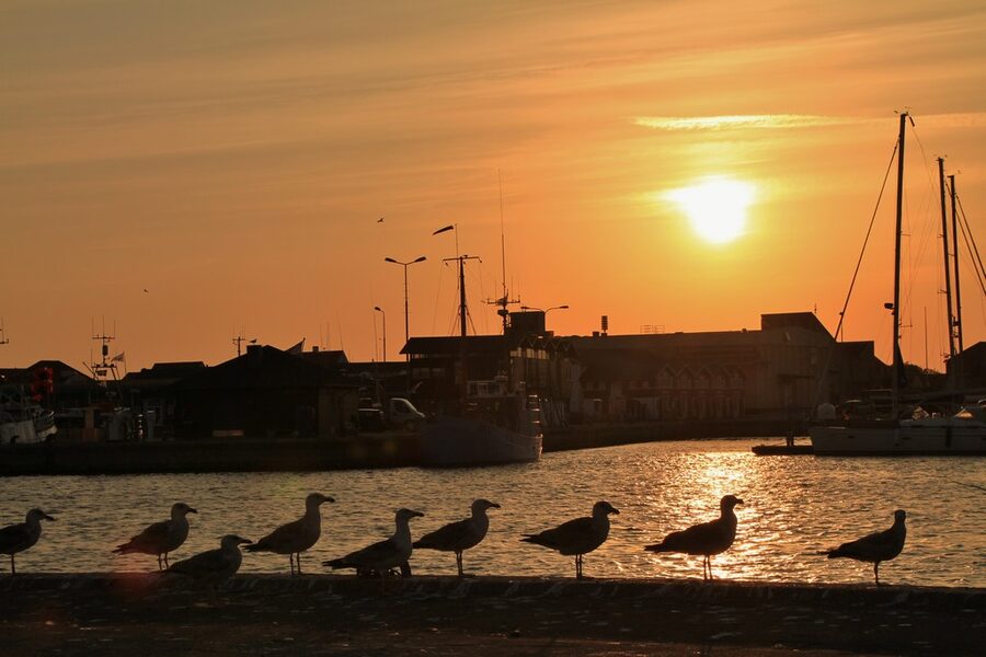 Skagen Havn, the working fishing port