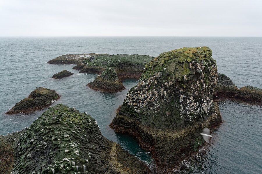 Basalt sea-cliffs at Arnarstapi with Atlantic waves