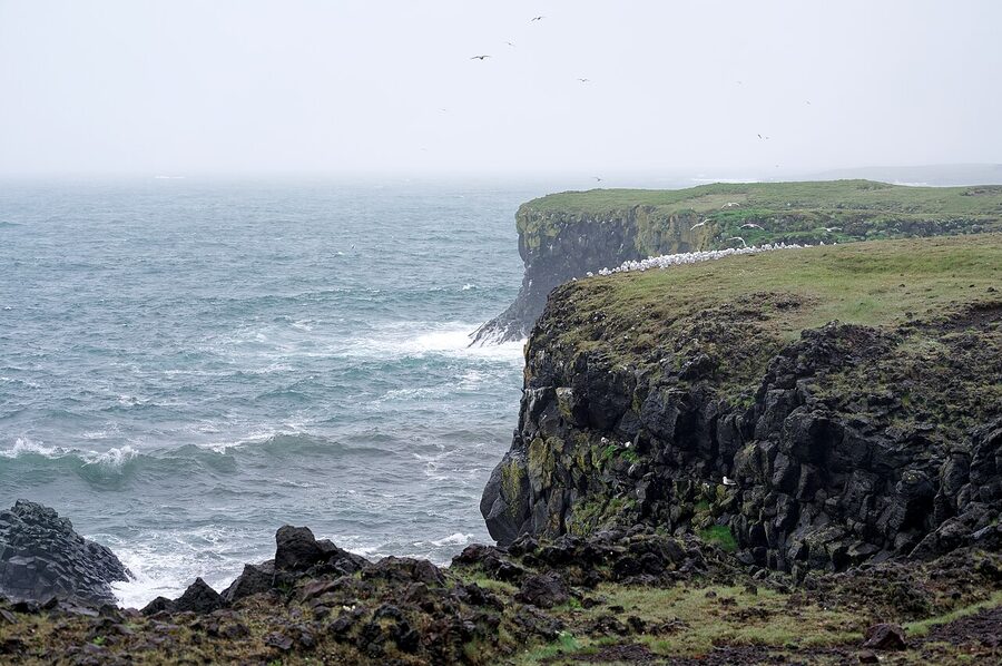 Arnarstapi cliffs in summer, Snæfellsnes peninsula